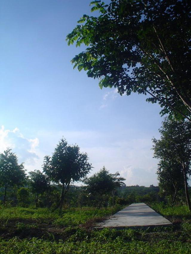 Large_wa02