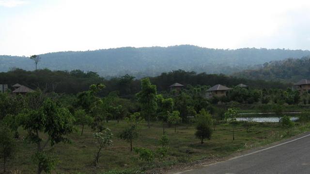 Large_tt386
