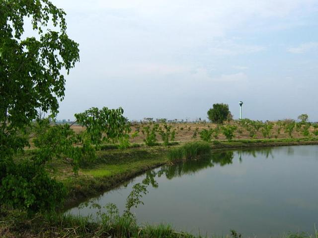 Large_tt387