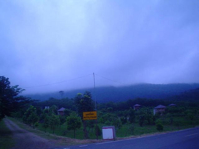 Large_tt540