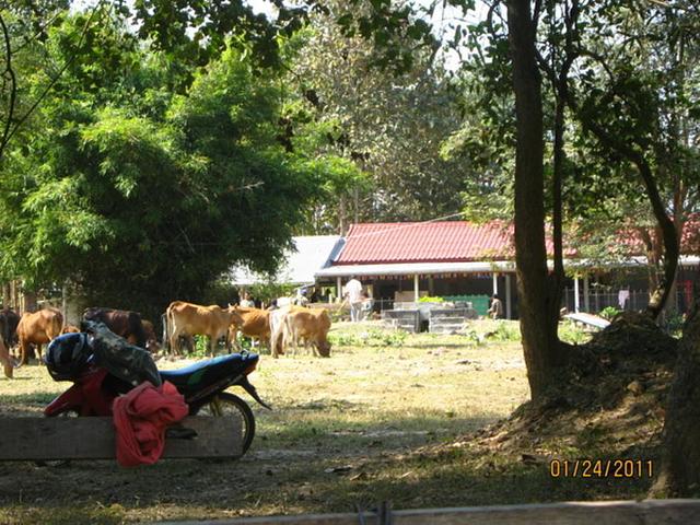 Large_2401201102