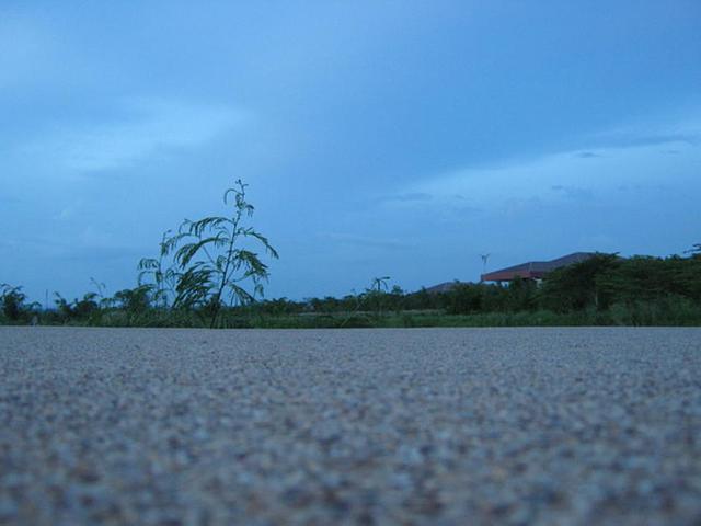 Large_pic010