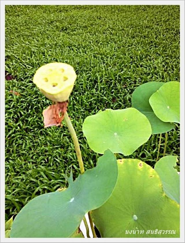 Large_photo2ac